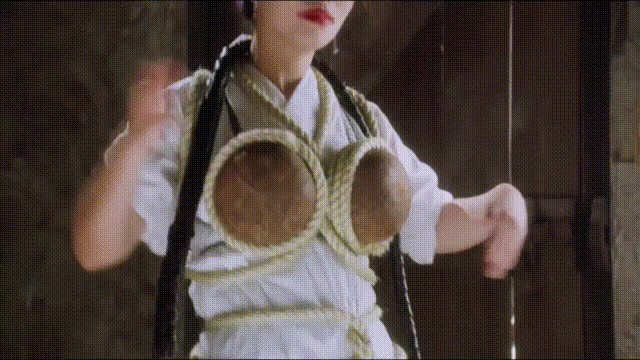 巅峰李小龙_李小龙的演艺生涯_李小龙的演艺生涯高峰与低谷