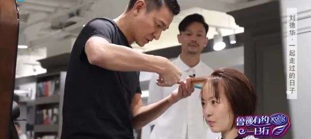 巅峰李小龙_高峰低谷电的时间段_李小龙的演艺生涯高峰与低谷