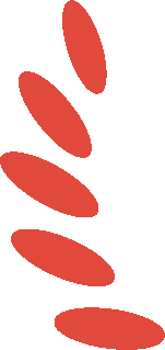 虚拟现实应用_应用虚拟荣耀现实分析技术_荣耀的虚拟现实技术应用分析