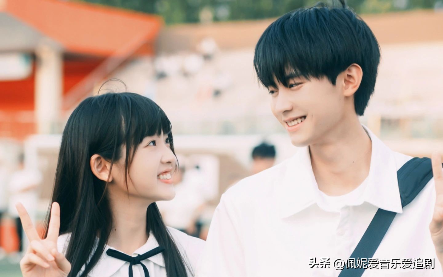 完美结局电影_剧情与演员的完美结合：2023年十大影片_完美剧情介绍