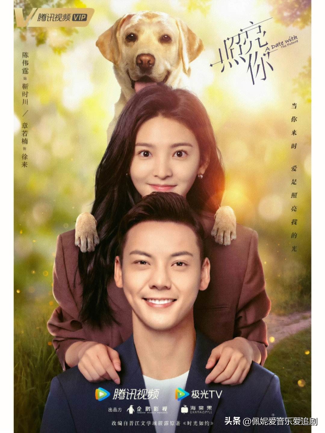 完美结局电影_剧情与演员的完美结合：2023年十大影片_完美剧情介绍