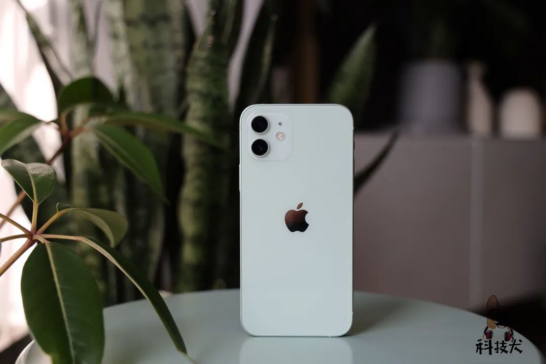 多彩外设官网_nova系列手机的多彩外观选择_多彩手机壁纸