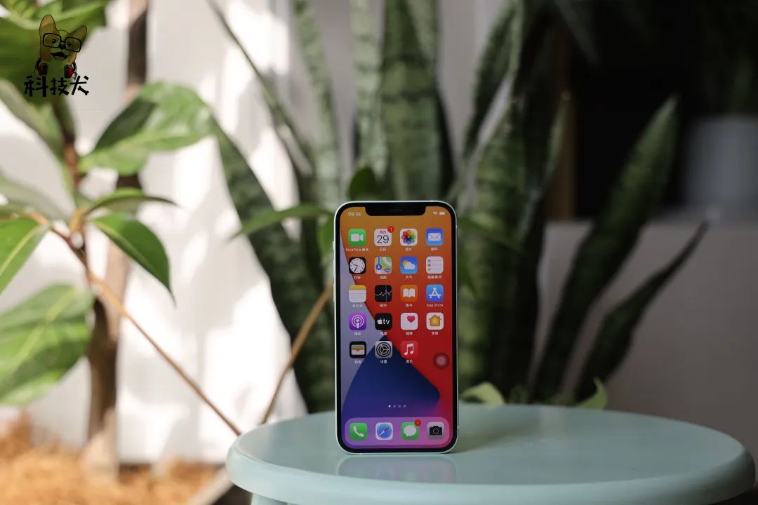 多彩外设官网_nova系列手机的多彩外观选择_多彩手机壁纸