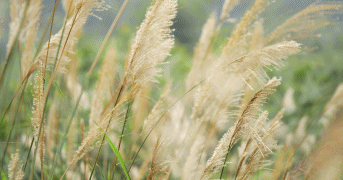 彭于晏陈意涵吻戏_彭于晏微博_彭于晏