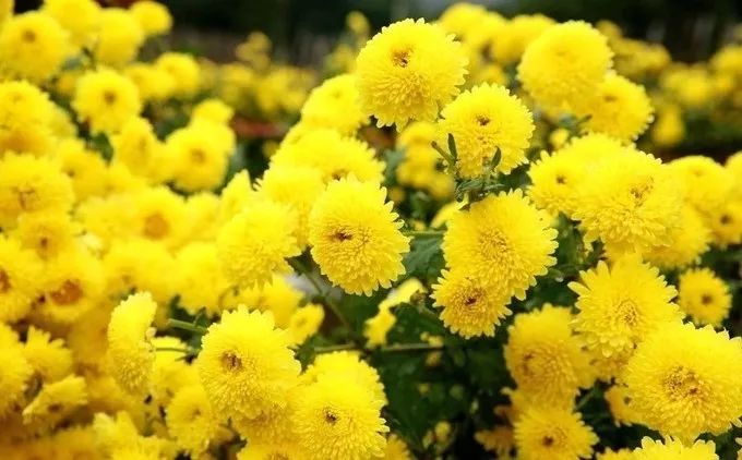 自驾游汽车首选_自驾游攻略：如何选择适合的汽车？_自驾游选什么车好