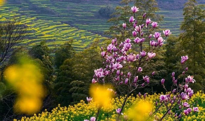 自驾游汽车首选_自驾游攻略：如何选择适合的汽车？_自驾游选什么车好