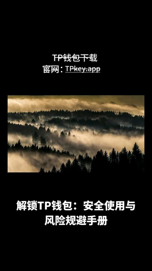 TPWallet官网下载及使用全流程操作安全性注意事项