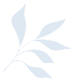 特斯拉自带导航是什么_特斯拉Model Y的智能导航系统使用体验_特斯拉导航技术