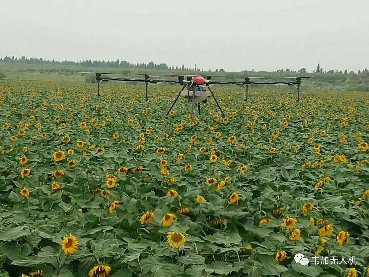 无人机表演在旅游行业的应用前景_无人机表演在旅游行业的应用前景_无人机表演在旅游行业的应用前景
