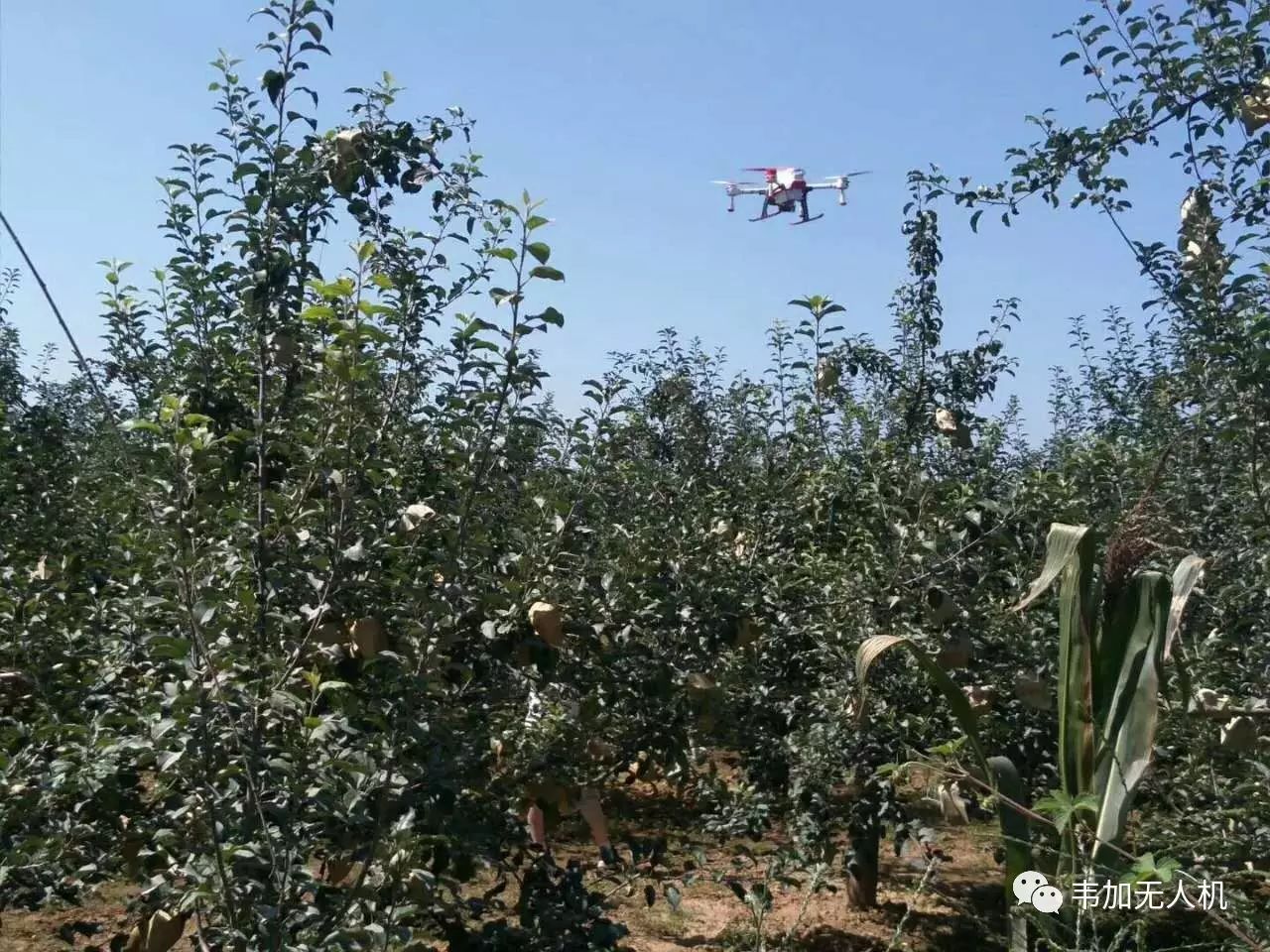 无人机表演在旅游行业的应用前景_无人机表演在旅游行业的应用前景_无人机表演在旅游行业的应用前景