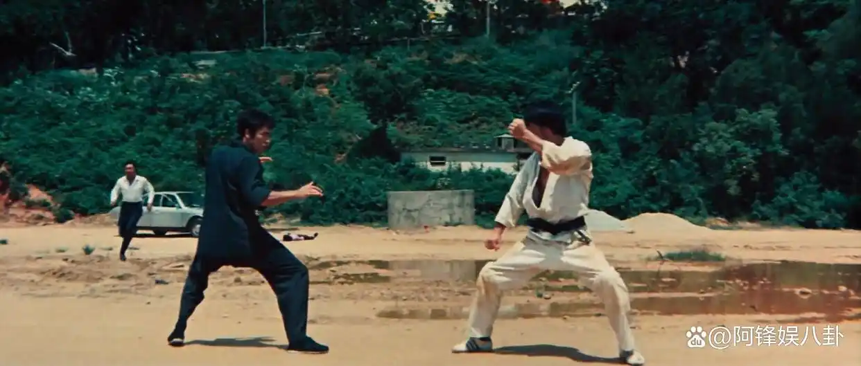 李小龙说武术的本质是_武术的最高境界李小龙_李小龙在武术界的影响与启迪