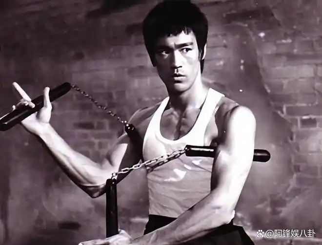 李小龙在武术界的影响与启迪_武术的最高境界李小龙_李小龙说武术的本质是