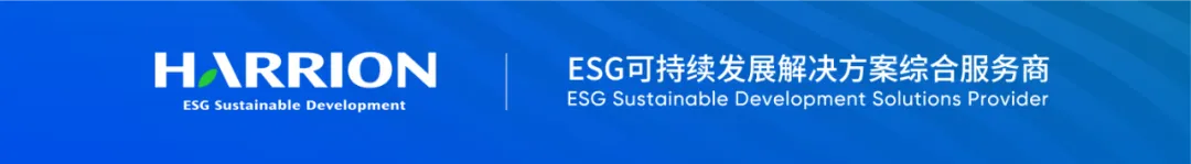 烟花爆竹：传统年味与环保意识的权衡难题