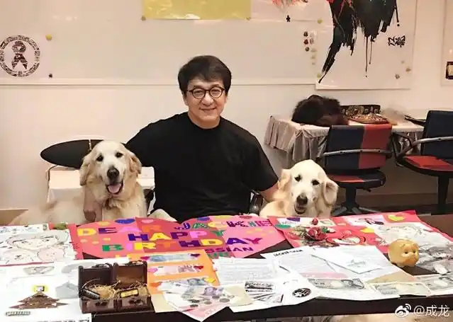 李连杰的电影生涯：武侠与荣耀_李连杰的电影生涯：武侠与荣耀_李连杰的电影生涯：武侠与荣耀