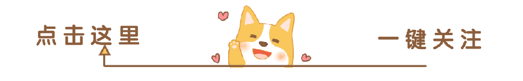 预算7万左右适合女生开的电动车推荐：比亚迪海鸥等颜值实力并存的选择