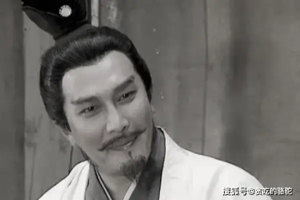 诸葛亮的家族背景与成长经历_诸葛亮家族成员列表_诸葛亮家族关系表