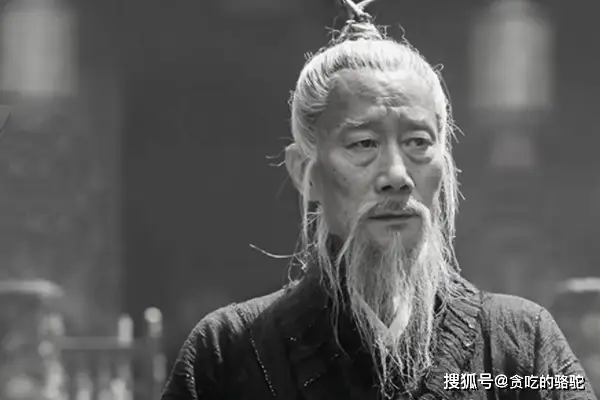 诸葛亮家族成员列表_诸葛亮家族关系表_诸葛亮的家族背景与成长经历