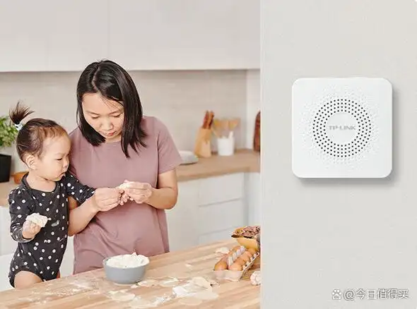 TP-Link摄像头设备的智能分析与报告功能_摄像头检测报告_摄像头检测报告模板电子版