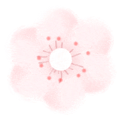 数字货币法律属性与监管路径探析：金融科技创新与规范发展