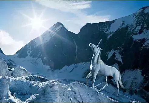 2018年币市暴跌：比特币从20000美元跌破7000，ICO泡沫破裂背后的真相