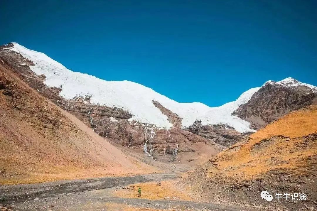 加密货币市场价格由什么决定_加密货币对金融市场的影响_分析市场对加密货币未来的看法：投资者信心与市场反应