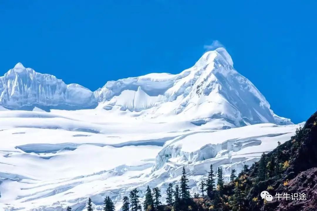 加密货币市场价格由什么决定_加密货币对金融市场的影响_分析市场对加密货币未来的看法：投资者信心与市场反应