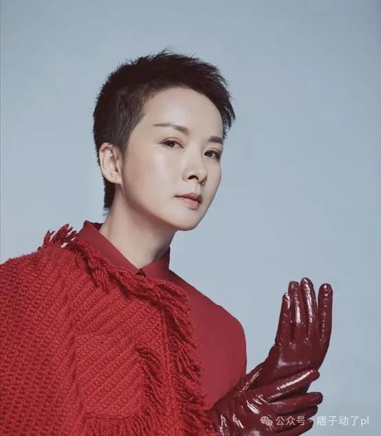 张国荣事业竞争_张国荣的职业转折与人生选择_张国荣的职业