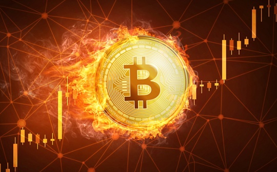 数字货币为何能吸引隐私保护者_隐私币为什么是区块链的龙头_谁才是隐私币之王