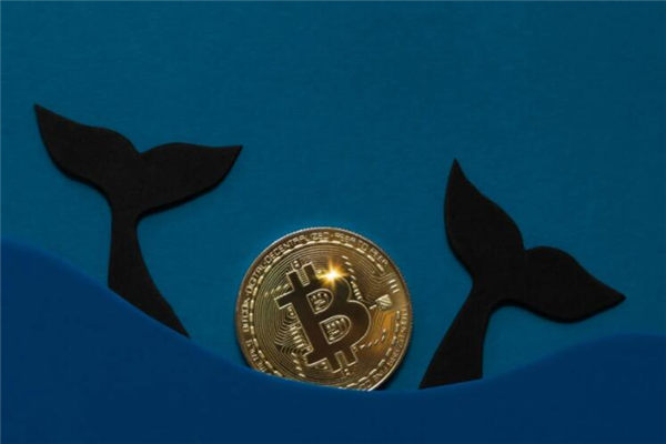 全球领先数字币交易平台