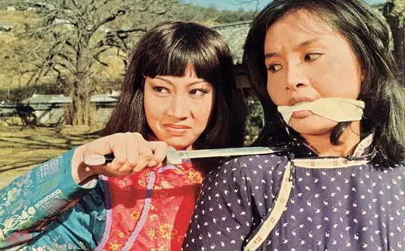 洪金宝经典角色_洪金宝的电影选角与角色分析_导演洪金宝