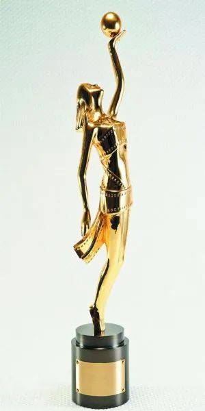 四大电影的各类奖项提名与得主_电影获奖提名_电影提名得主奖项名称