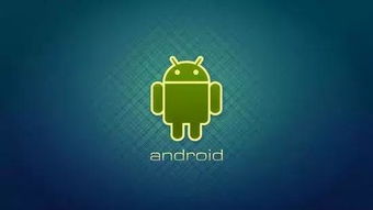 隐私安全性最好的手机_手机隐私政策是什么意思_最新手机系统的安全特性与用户隐私