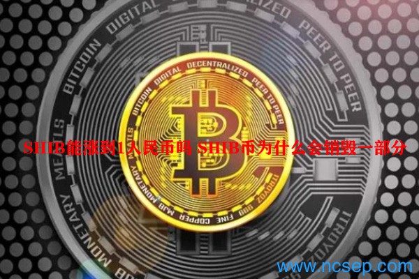 Shiba Inu价格分析：探讨SHIB能否涨到1人民币及相关制约因素