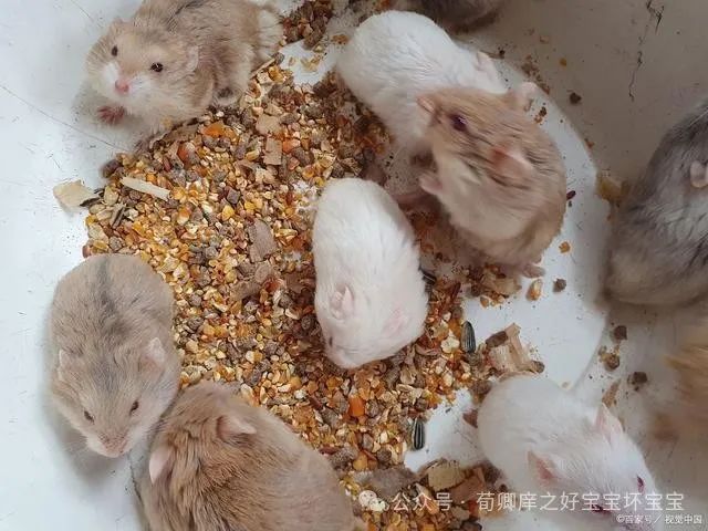 李斯与秦国的经济改革_改革秦国李斯经济的措施_秦国时代李斯